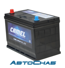 12V 90Ah (1) Asia CAMEL (125D31R)